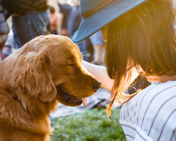 One of the common signs that you are a highly sensitive person is that you love animals and have a deep connection to them. On this image, there is a woman petting a Golden Retriever.