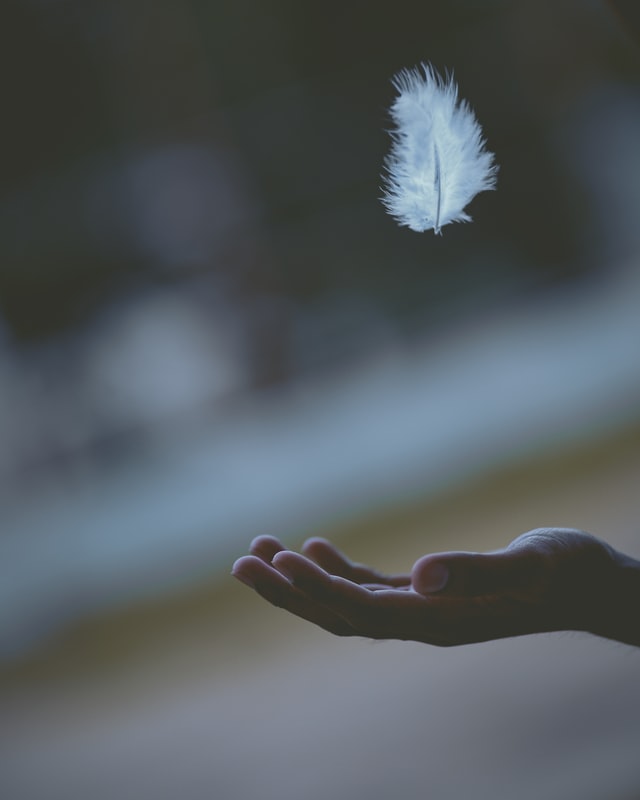 On the image, there is a hand with the palm faced up, like it is ready to receive. In the air, there is a feather slowly floating down to the hand.