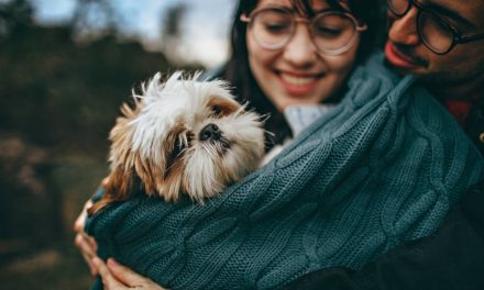 4 Incredible Ways to Live a Satisfying Life