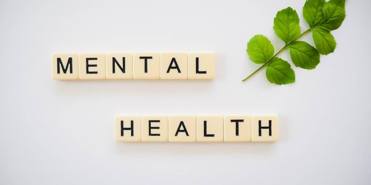 How To Take Care of Your Mental Health On a Day-to-Day Basis