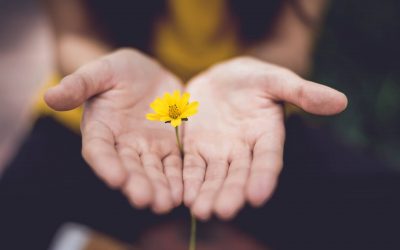 7 Powerful Trauma-Healing Techniques for Empaths