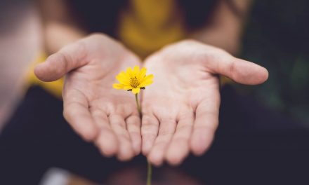 7 Powerful Trauma-Healing Techniques for Empaths