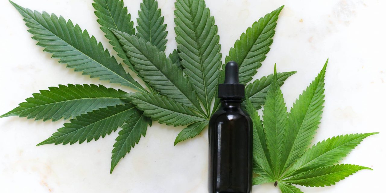 Is CBD a Good Option for a Highly Sensitive Person?