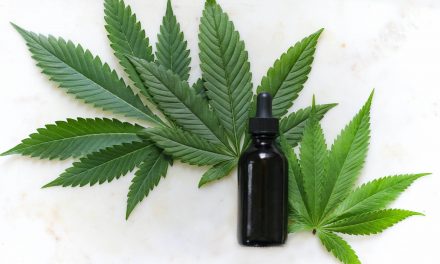 Is CBD a Good Option for a Highly Sensitive Person?