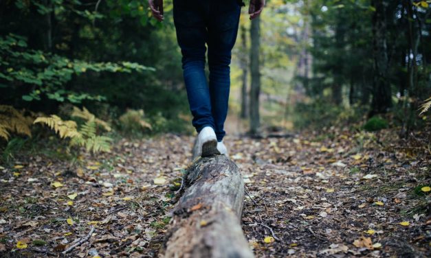 How To Create A Balance In Both Body And Mind This Year