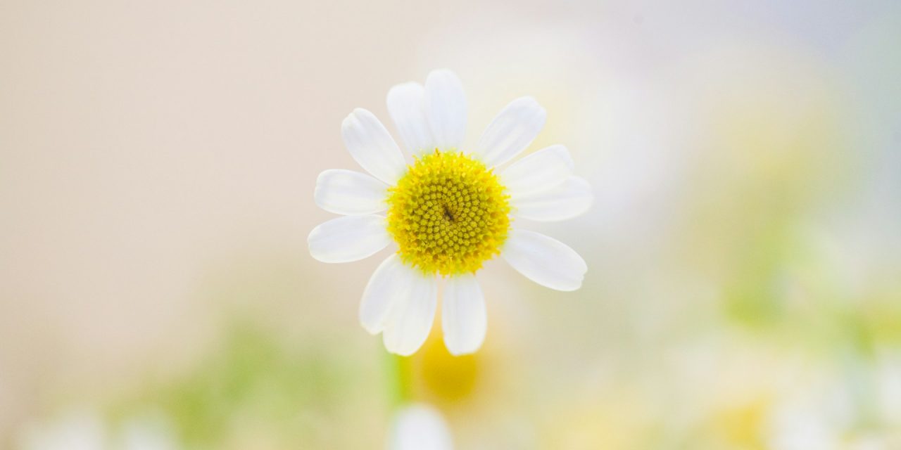 How to Embrace Patience While Working Towards Your Goals