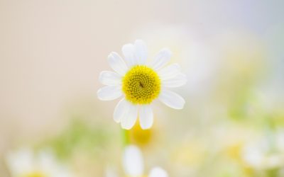 How to Embrace Patience While Working Towards Your Goals