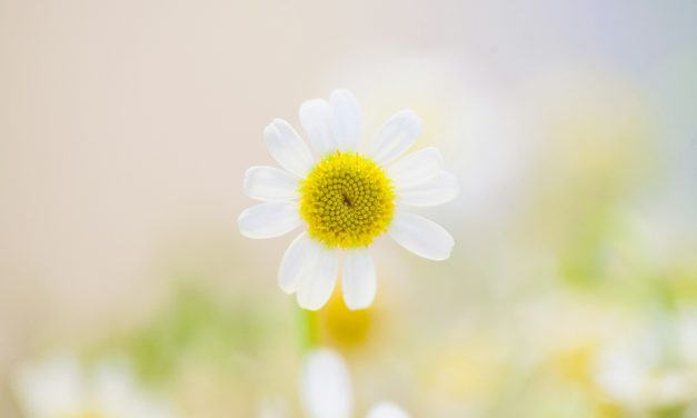 How to Embrace Patience While Working Towards Your Goals