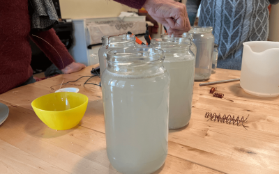 What is GaNS Water and How May It Support Your Health?