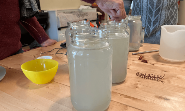 What is GaNS Water and How May It Support Your Health?