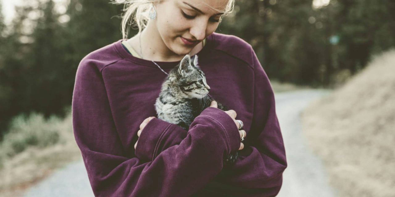The Healing Presence Of Cats: Understanding Their Impact On Highly Sensitive People