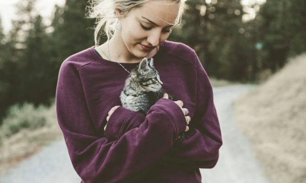 The Healing Presence Of Cats: Understanding Their Impact On Highly Sensitive People