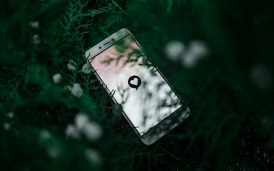 Analyzing the Paradox of Choice in Online Dating: Does More Selection Lead to Better Matches?