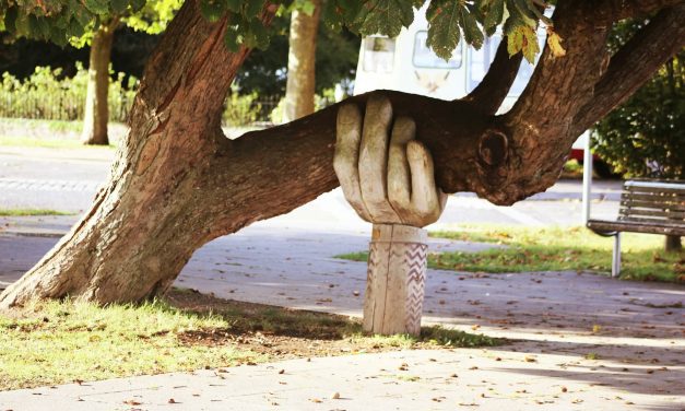 7 Ways to Feel Less Helpless and Support a Better World