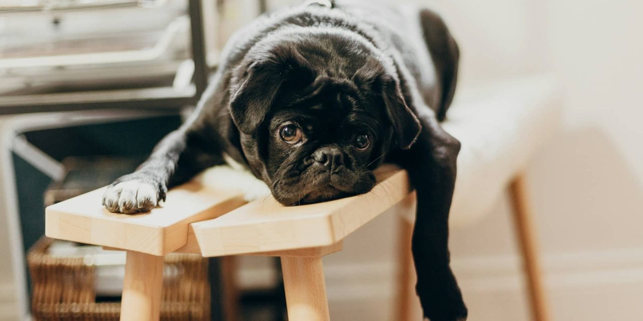 5 Things to do When you Experience a Lack of Purpose in Your Life