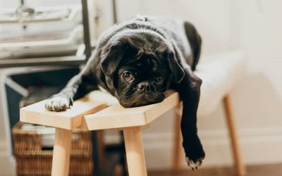 5 Things to do When you Experience a Lack of Purpose in Your Life
