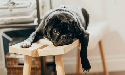 5 Things to do When you Experience a Lack of Purpose in Your Life