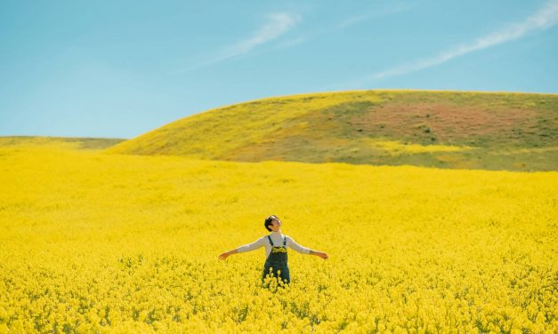 How Highly Sensitive People Can Turn Sensitivity Into Personal Strength