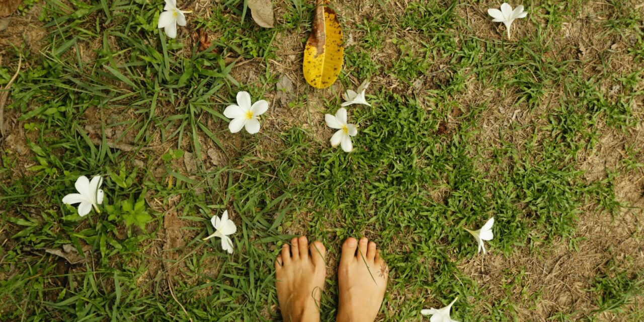 Grounding for The Highly Sensitive Person: Why You Need a Daily Grounding Ritual