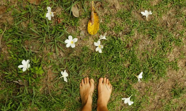Grounding for The Highly Sensitive Person: Why You Need a Daily Grounding Ritual