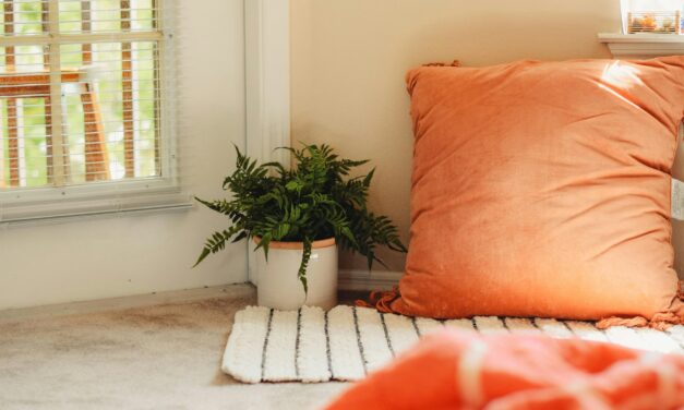 Feng Shui for the HSP: How to Improve the Energy of Your Home Environment