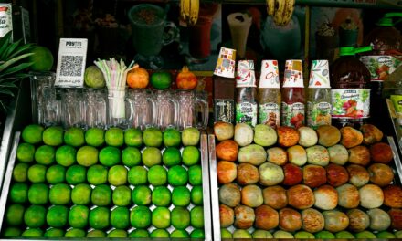 Losing Weight After 50: Real Stories of Wellness Transformation