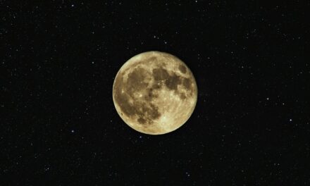 4 Powerful Full Moon Rituals for Sensitive Souls