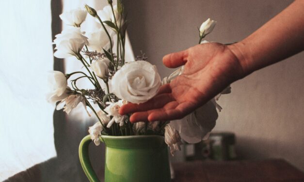 5 Ways to Cultivate Gratitude When You’re Overstimulated as an HSP