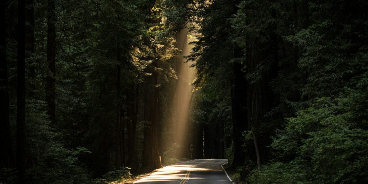 When the World Feels Heavy: A Gentle Reminder for Sensitive Souls